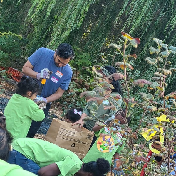 Camas Planting #15