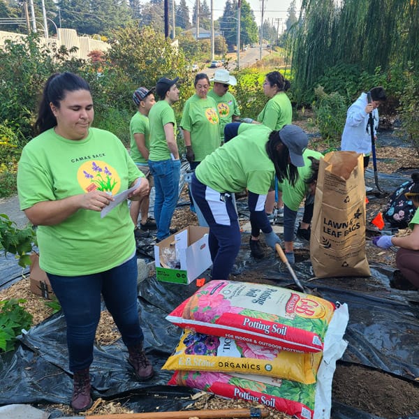 Camas Planting #16