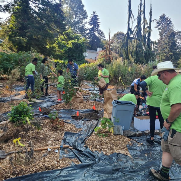 Camas Planting #19