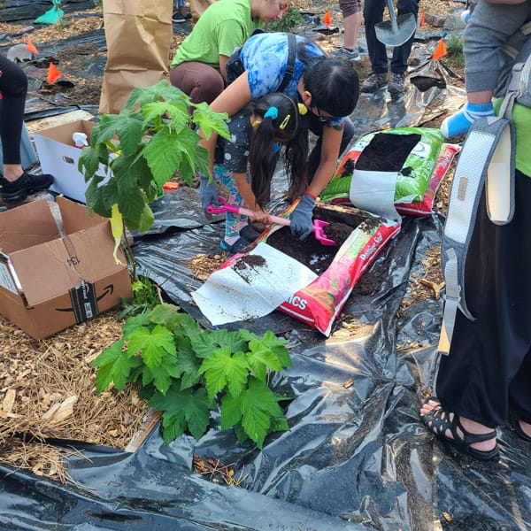 Camas Planting #20