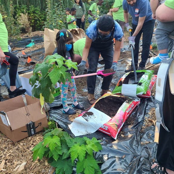 Camas Planting #21