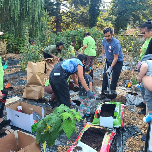 Camas Planting #22