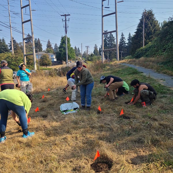 Camas Planting #28