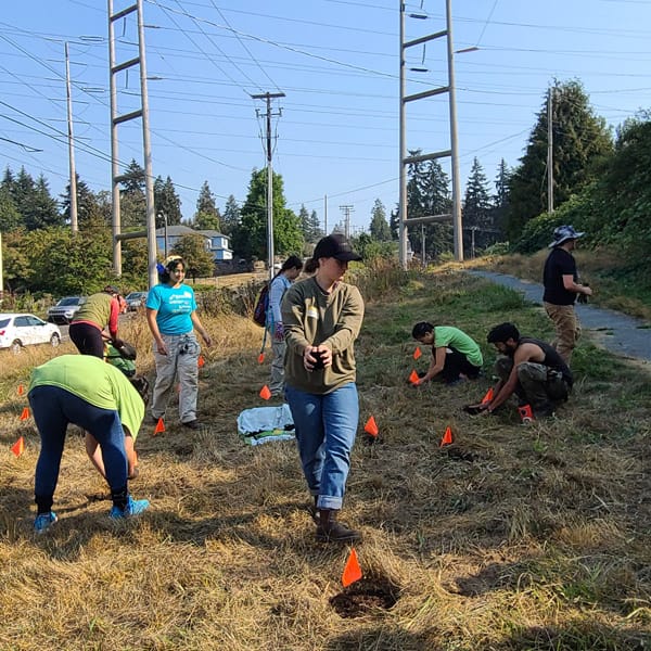 Camas Planting #29